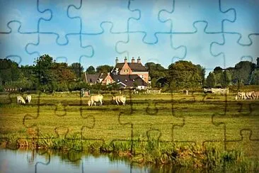 Foto jigsaw puzzle