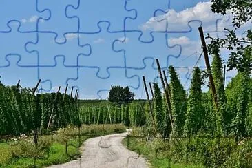 Foto jigsaw puzzle