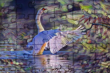 Painterly swan