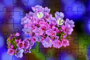 se Lavender jigsaw puzzle