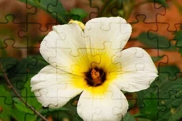 Foto jigsaw puzzle