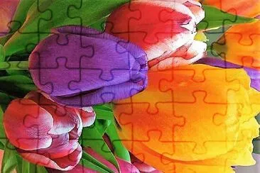 Foto jigsaw puzzle