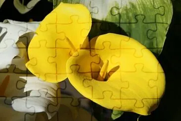 Foto jigsaw puzzle