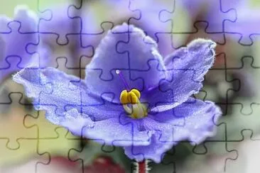  jigsaw puzzle