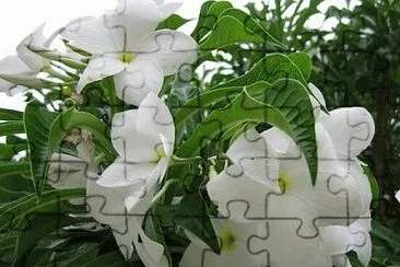 . jigsaw puzzle