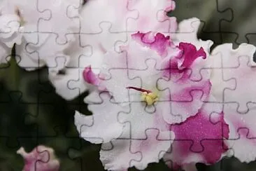 . jigsaw puzzle