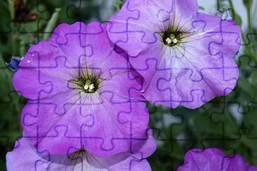 . jigsaw puzzle