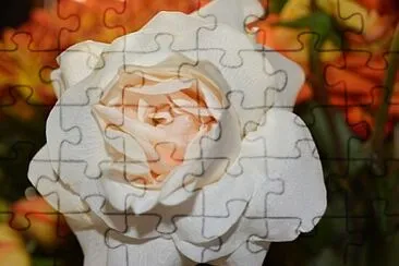 . jigsaw puzzle