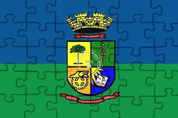 Bandeira de Passo Fundo jigsaw puzzle