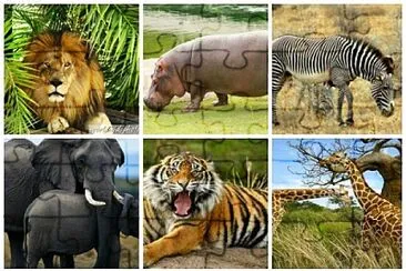 animales