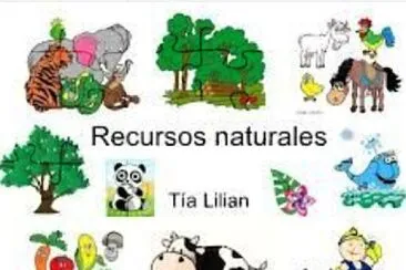 Recursos