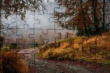 Toy jigsaw puzzle