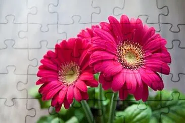 Foto jigsaw puzzle