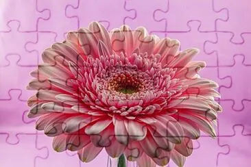 Foto jigsaw puzzle