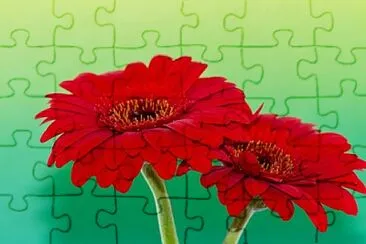 Foto jigsaw puzzle