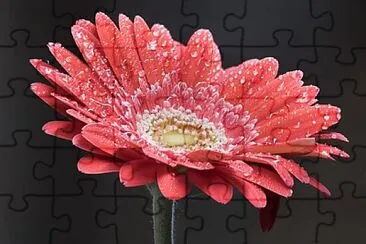 Foto jigsaw puzzle