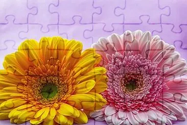 Foto jigsaw puzzle