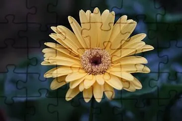 Foto jigsaw puzzle