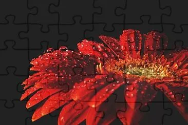 Foto jigsaw puzzle