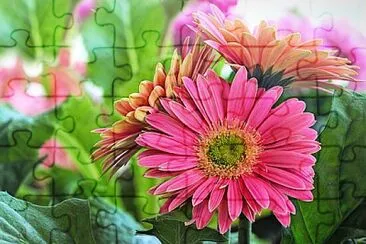 Foto jigsaw puzzle