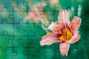 Foto jigsaw puzzle