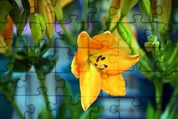 Foto jigsaw puzzle