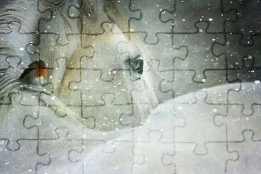 Foto jigsaw puzzle