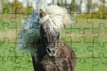 Foto jigsaw puzzle