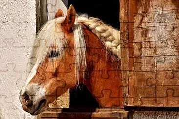 Foto jigsaw puzzle