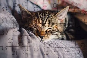 Foto jigsaw puzzle