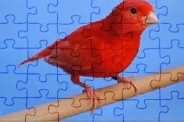 Foto jigsaw puzzle