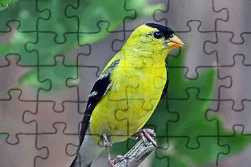 Foto jigsaw puzzle