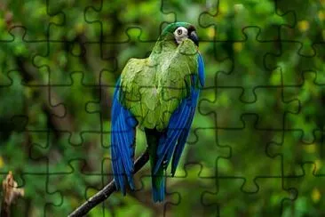 Foto jigsaw puzzle