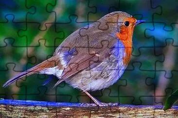 Foto jigsaw puzzle