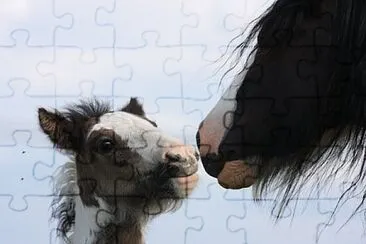 Foto jigsaw puzzle