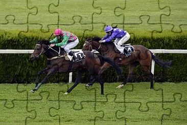 Foto jigsaw puzzle