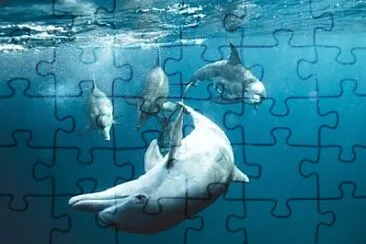 Foto jigsaw puzzle