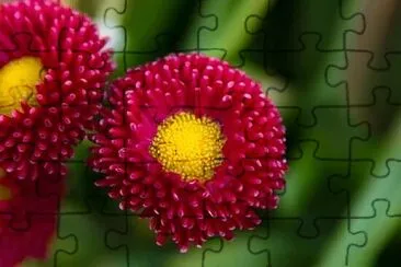 Foto jigsaw puzzle