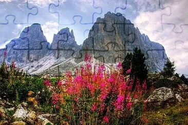 Foto jigsaw puzzle