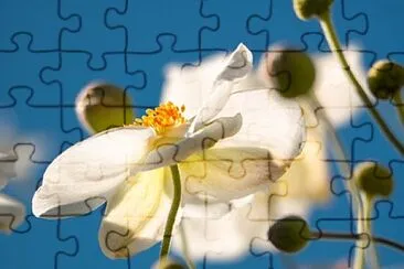 Foto jigsaw puzzle