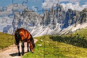 Foto jigsaw puzzle