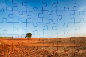 Toy jigsaw puzzle