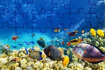 Foto jigsaw puzzle