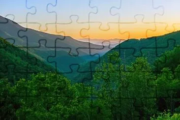 Toy jigsaw puzzle