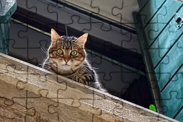 Foto jigsaw puzzle