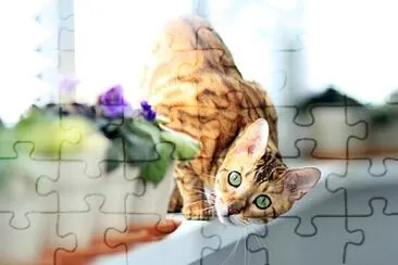 Foto jigsaw puzzle