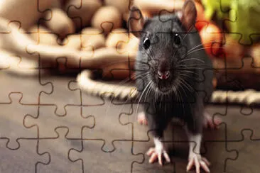 Rato jigsaw puzzle