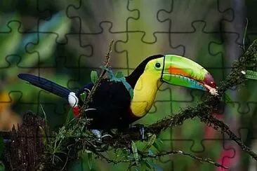 Foto jigsaw puzzle