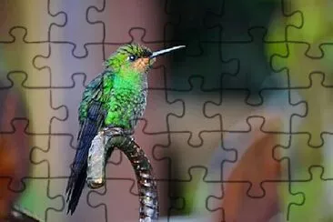 Foto jigsaw puzzle