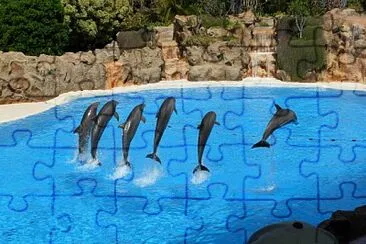 Loro parque